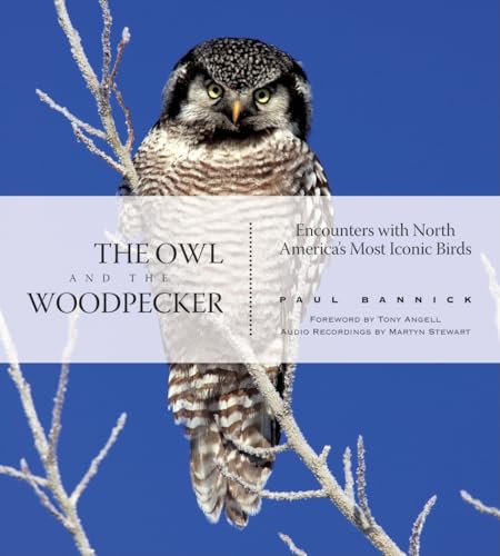 Stock image for The Owl and the Woodpecker: Encounters With North America's Most Iconic Birds (With Audio CD) for sale by Ergodebooks