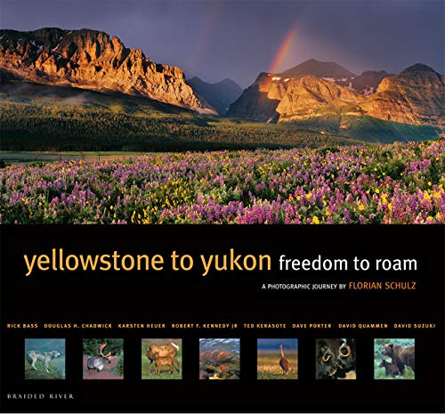 Stock image for Yellowstone to Yukon: Freedom to Roam for sale by Ergodebooks