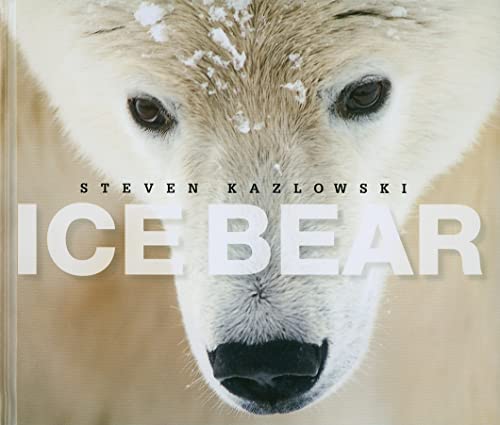 9781594854743: Ice Bear: The Arctic World of Polar Bears