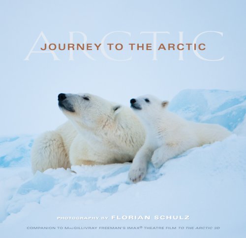 Stock image for Journey to the Arctic: Visions of the Arctic for sale by -OnTimeBooks-