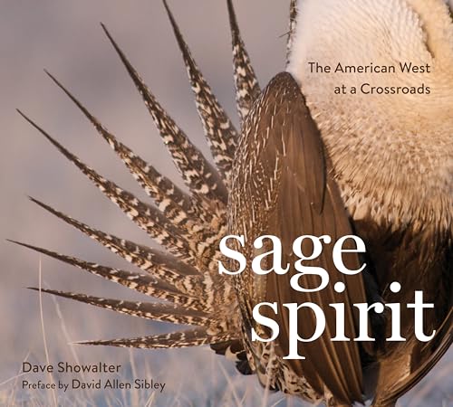 Stock image for Sage Spirit: The American West at a Crossroads for sale by SecondSale