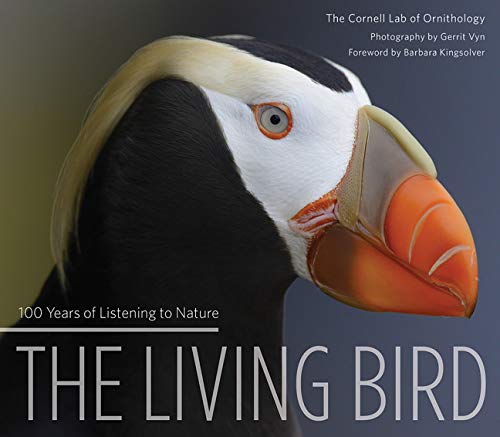 Beispielbild fr The Living Bird: 100 Years of Listening to Nature zum Verkauf von WorldofBooks