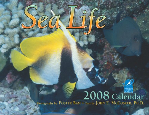 Sea Life 2008 Calendar (9781594902833) by McCosker, John E.