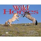 9781594904561: Wild Horses 2009 Calendar