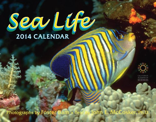 2014 Sea Life (9781594908910) by John McCosker