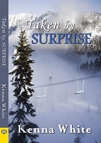 Stock image for Taken by Surprise for sale by Better World Books