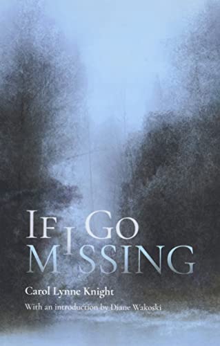 Stock image for If I Go Missing for sale by Housing Works Online Bookstore