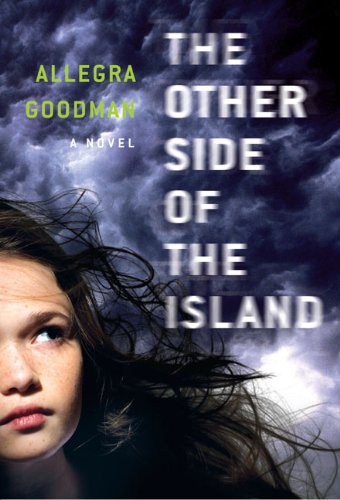 Stock image for The Other Side of the Island for sale by Gulf Coast Books