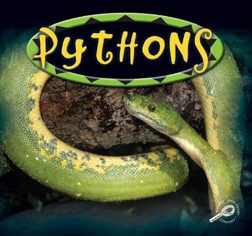 9781595151483: Pythons: Amazing Snakes