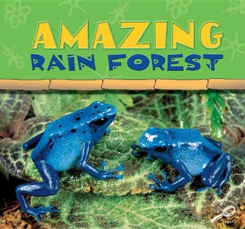 Beispielbild fr Amazing Rain Forest: Rain Forests Today zum Verkauf von Irish Booksellers