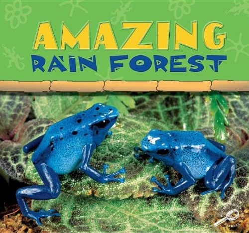 9781595151513: Amazing Rain Forest: Rain Forests Today