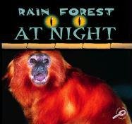 9781595151551: Rain Forest at Night (Rain Forests Today)