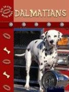 Beispielbild fr Dalmatians (EYE TO EYE WITH DOGS) zum Verkauf von WorldofBooks