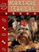 Beispielbild fr Yorkshire Terriers (Eye to Eye With Dogs II) zum Verkauf von WorldofBooks