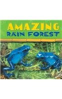 9781595152992: Amazing Rain Forest (Rain Forest Today Discovery Library)