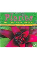 9781595153029: Plants Of The Rain Forest (Rain Forest Today Discovery Library)