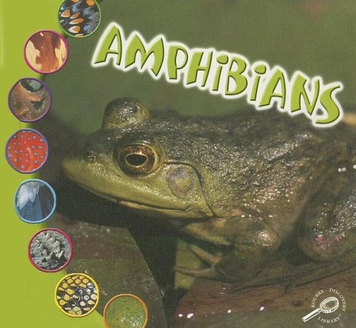 Amphibians (What Makes an Animal?) (9781595154156) by O'Hare, Ted