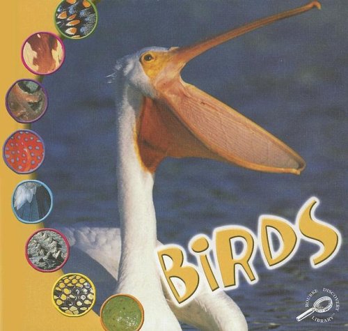 Imagen de archivo de Birds (What Is an Animal?) a la venta por WeSavings LLC