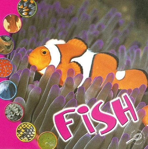 9781595154170: Fish (What Makes an Animal?)
