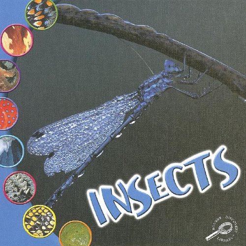 Imagen de archivo de Insects (What Is an Animal?) a la venta por HPB Inc.