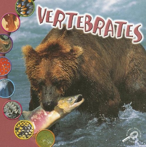 Stock image for Vertebrates for sale by Better World Books