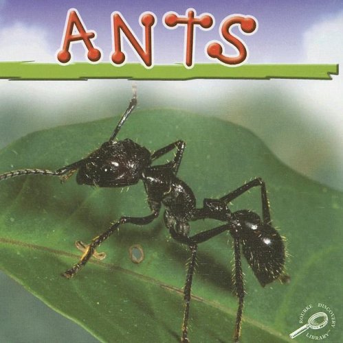 Stock image for Ants for sale by Better World Books