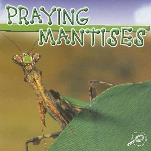 9781595154293: Praying Mantises (Insects Discovery Library.)
