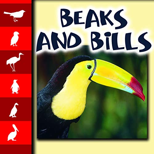 Beaks and Bills - Lynn Stone; Mel Higginson