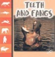Teeth and Fangs (Let's Look at Animals) (9781595155290) by James, Ray