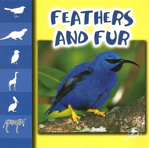 Feathers and Fur (Let's Look at Animals) - Higginson, M.