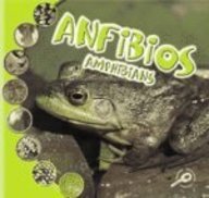 Beispielbild fr Anfibios: Amphibians (Que Es Un Animal? Biblioteca Del Descubrimiento/what Is an Animal? Discovery Library) (Spanish Edition) zum Verkauf von Irish Booksellers