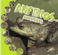 Imagen de archivo de Anfibios: Amphibians (Que Es Un Animal? Biblioteca Del Descubrimiento/what Is an Animal? Discovery Library) (Spanish Edition) a la venta por Irish Booksellers