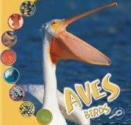 Aves: Birds (Que Es Un Animal? Biblioteca Del Descubrimiento/what Is an Animal? Discovery Library) (Spanish Edition) (9781595156280) by O'Hare, Ted