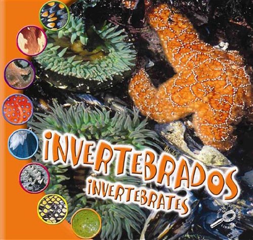 Imagen de archivo de Invertebrados (Invertebrates) (Que Es Un Animal Biblioteca del Descubrimiento (What Is an A) (Spanish Edition) a la venta por mountain