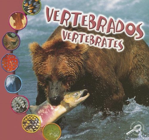 Stock image for Vertebrados: Vertebrates for sale by ThriftBooks-Atlanta