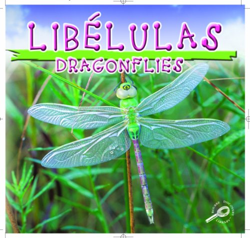 9781595156525: Libelulas: Dragonflies