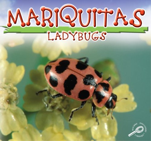 Stock image for Mariquitas/Ladybugs for sale by Better World Books
