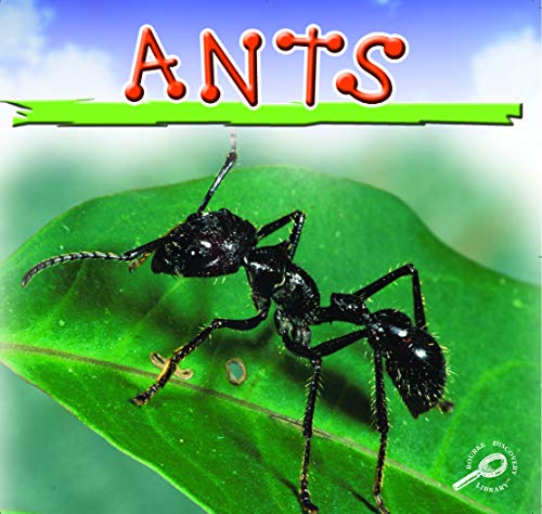 Beispielbild fr Ants (Insects Discovery Library) zum Verkauf von -OnTimeBooks-