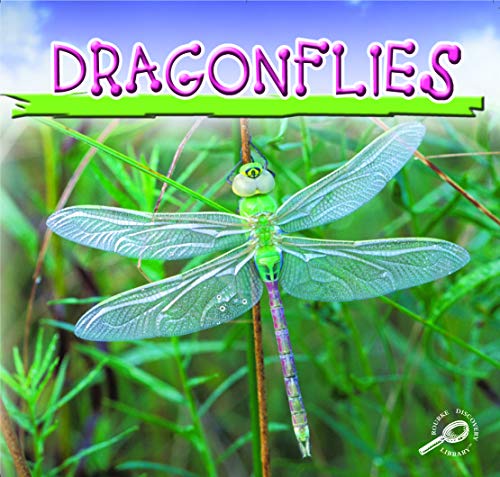 Beispielbild fr Dragonflies (Insects Discovery Library) zum Verkauf von Wonder Book