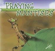 Praying Mantises (Insects) (9781595157430) by Cooper, J.