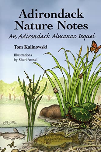Stock image for Adirondack Nature Notes: An Adirondack Almanac Sequel for sale by Bulk Book Warehouse