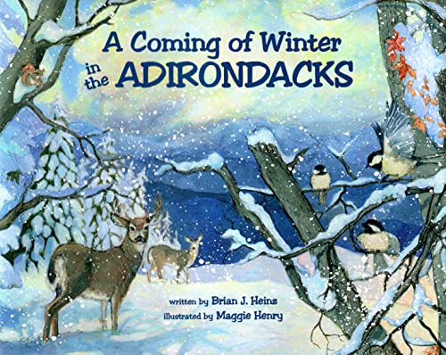 Imagen de archivo de A Coming of Winter in the Adirondacks a la venta por SecondSale