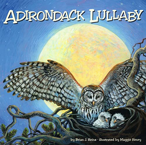 Beispielbild fr Adirondack Lullaby zum Verkauf von ZBK Books