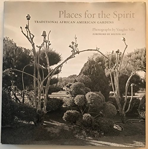 Imagen de archivo de Places for the Spirit: Traditional African American Gardens a la venta por GoldenDragon