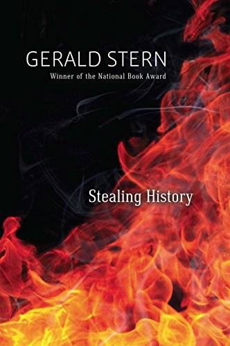 Beispielbild fr Stealing History zum Verkauf von Murphy-Brookfield Books