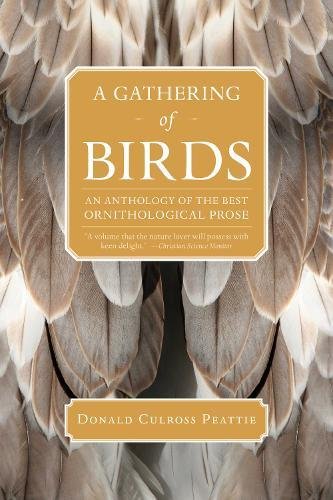 Imagen de archivo de A Gathering of Birds: An Anthology of the Best Ornithological Prose a la venta por BooksRun