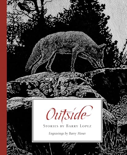 Stock image for Outside: Six Short Stories for sale by Revaluation Books