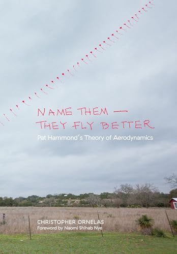 9781595348197: Name Them - They Fly Better: Pat Hammond's Theory of Aerodynamics