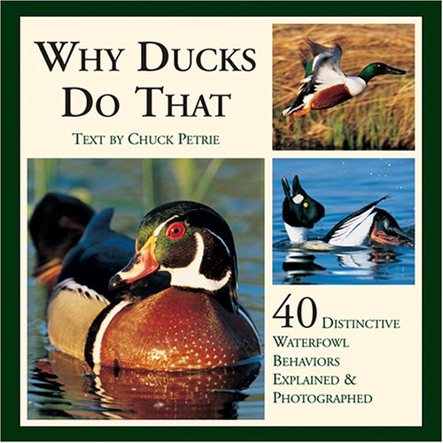 Stock image for Why Ducks Do That: 40 Distinctive Waterfowl Behaviors Explained Photographed for sale by Books of the Smoky Mountains