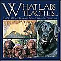 Stock image for What Labs Teach Us: Life's Lessons Learned from Labrador Retrievers for sale by BookHolders